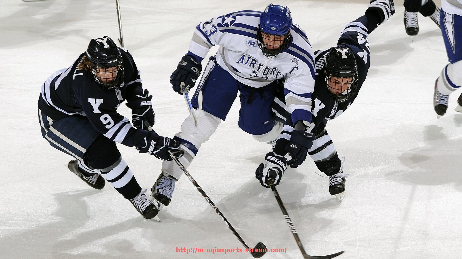 U球体育直播-拜仁慕尼黑是否属于德甲球队？其历史与地位解析