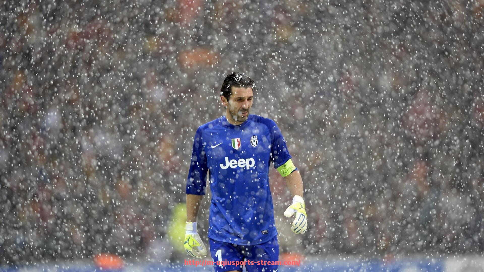 U球体育直播-法甲年度最佳阵容分析及入选球员点评